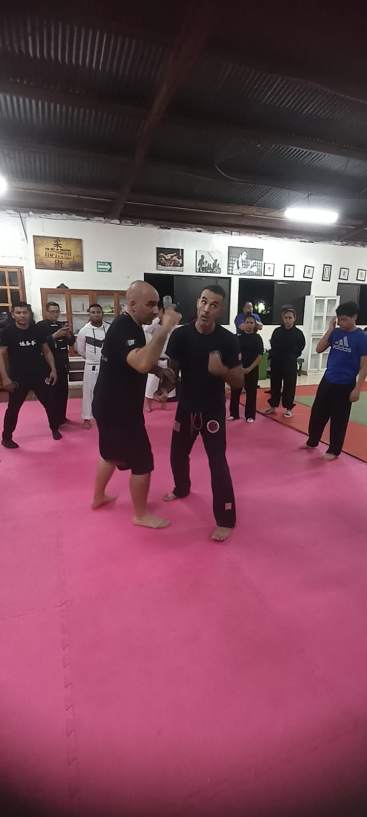 Seminario internacional de Wing Chun en Guatemala